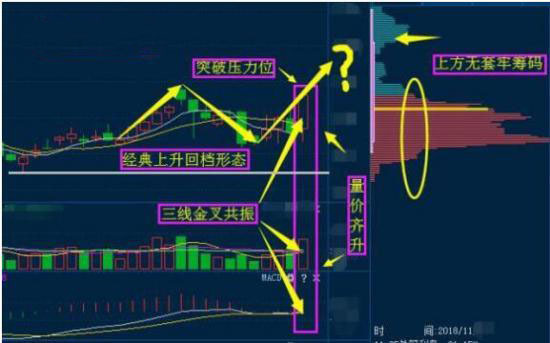 长城HB-03最新消息，揭秘未来科技趋势的新里程碑