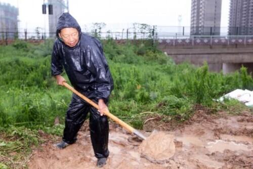 洛阳二手平板车最新动态，市场繁荣与交易活跃