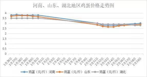 四平市最新鸡蛋价格动态分析