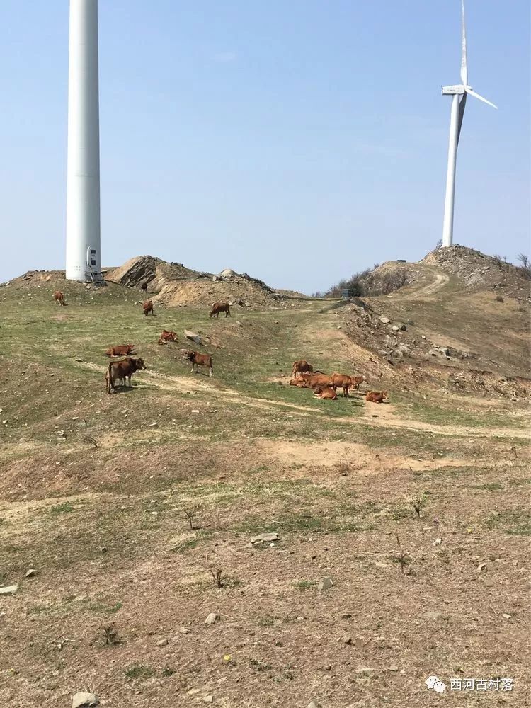 黄骅最新版五人尖子顶，探究与解析