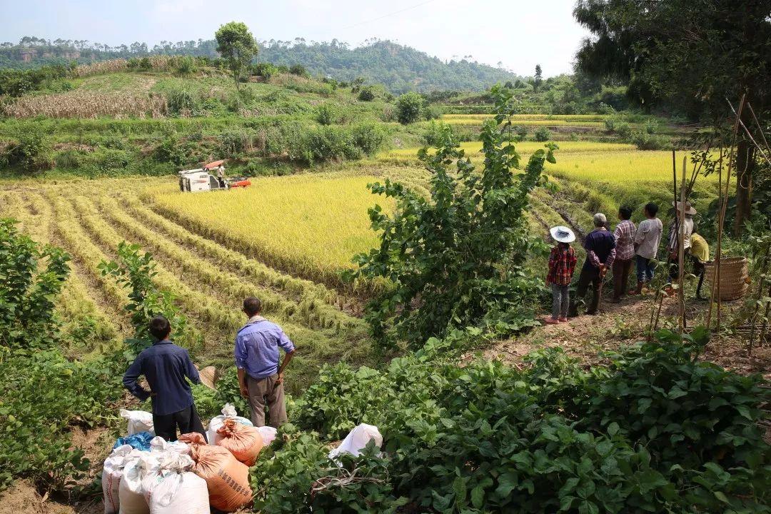 渝北区统大路最新消息深度解析