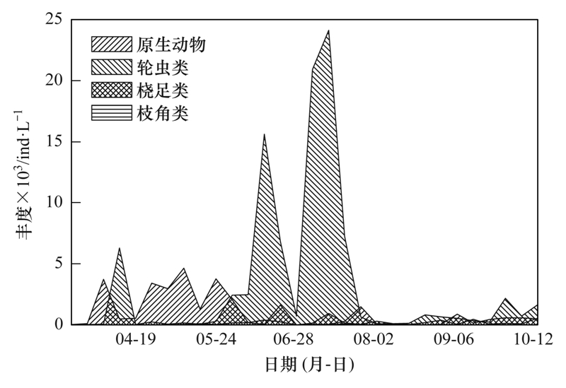 宿迁三台山最新招聘动态及其影响