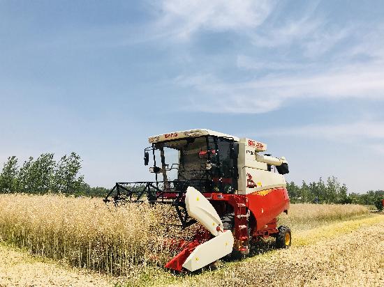 最新雷沃收割机GM80，引领农业收割新时代的先锋利器