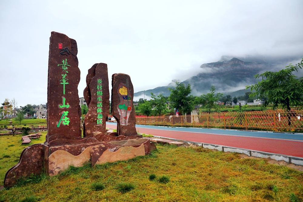 百花村股票最新动态，行业趋势与市场前景分析